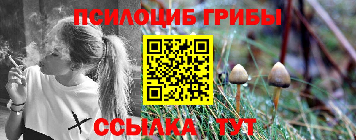 Муром  Псилоцибиновые грибы мухоморы  Вход с VPN  Псилоцибиновые грибы Psilocybe 